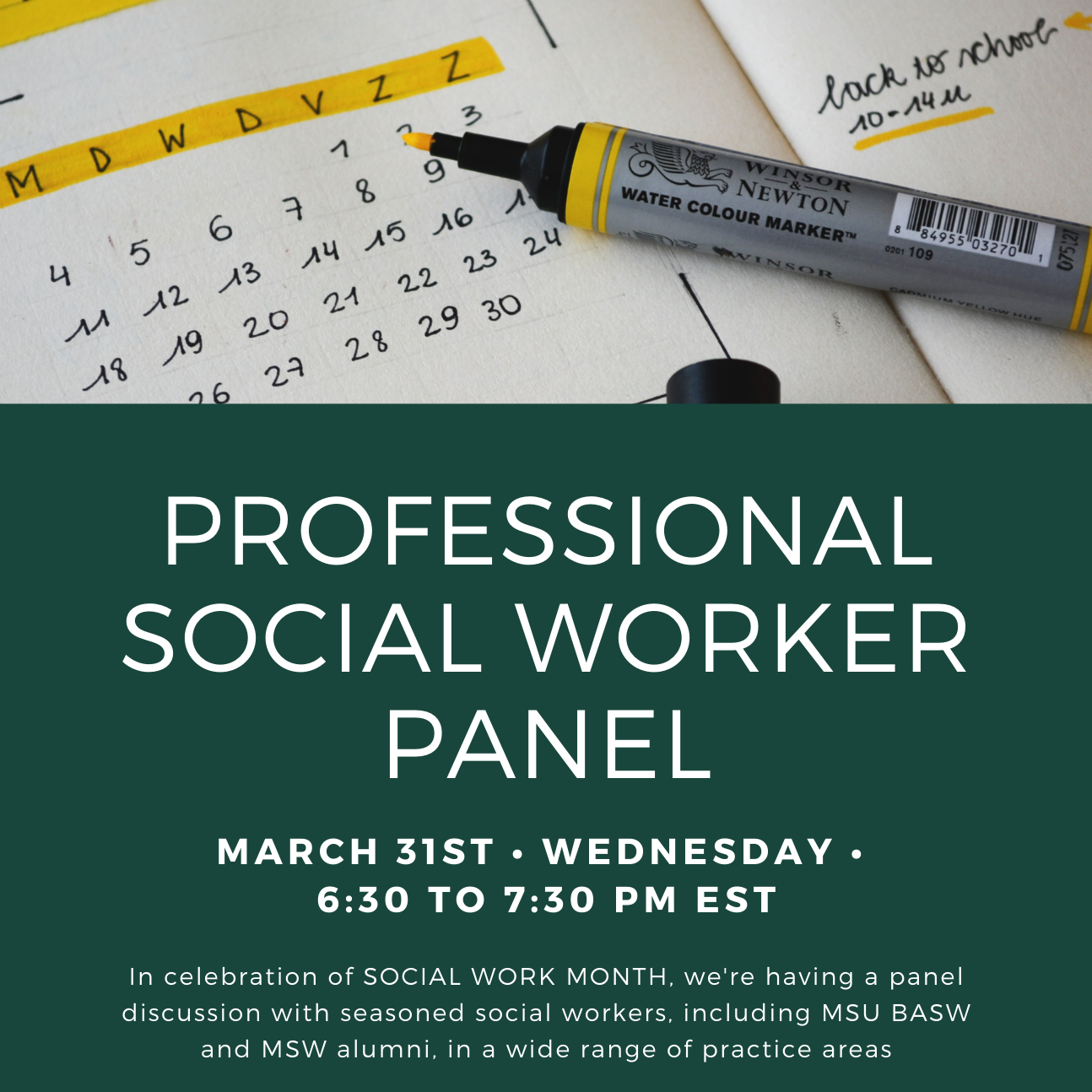 Professional Social Worker Panel